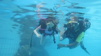 IMG_0101.jpg